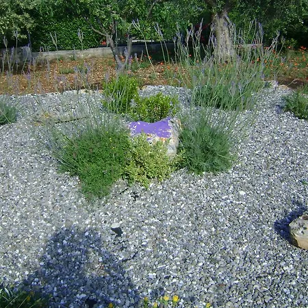 Tenuta Ranieri Bed & Breakfast Selva Di Fasano