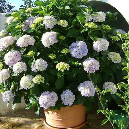 Bed & Breakfast Tenuta Ranieri