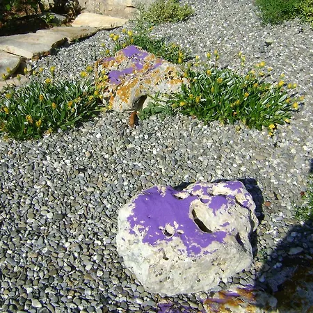 Tenuta Ranieri