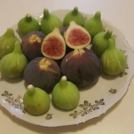 Tenuta Ranieri Отель типа 