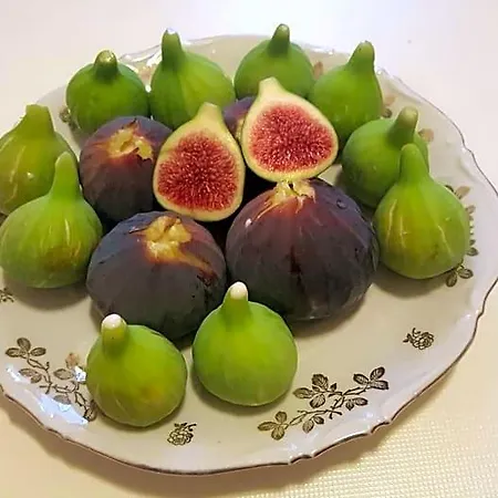 Tenuta Ranieri