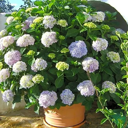 Tenuta Ranieri