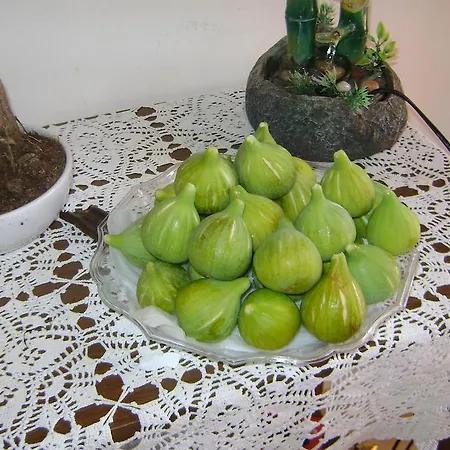 Tenuta Ranieri Отель типа 