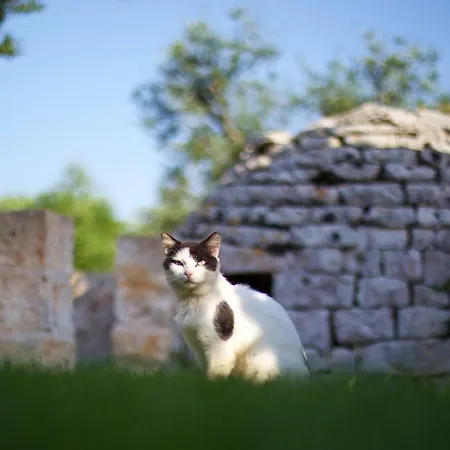 Tenuta Ranieri Отель типа 