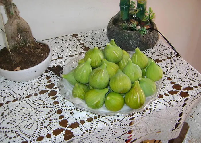 Tenuta Ranieri Bed & Breakfast